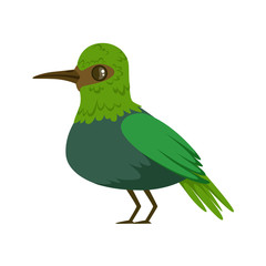 Small bright green tropical bird colorful vector Illustration