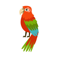Colorful macaw parrot colorful vector Illustration