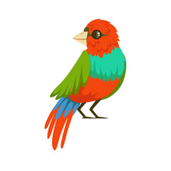 Obraz premium Colorful tropical bird vector Illustration