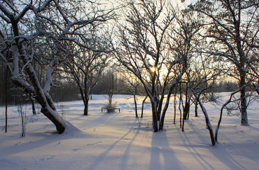 Winter landscape in the countryside.