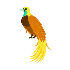 Tropical bird with long feathers colorful vector Illustration