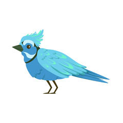 Beautiful blue bird colorful vector Illustration