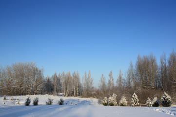Winter landscape in the countryside.