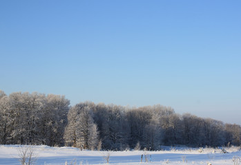 Winter landscape in the countryside.