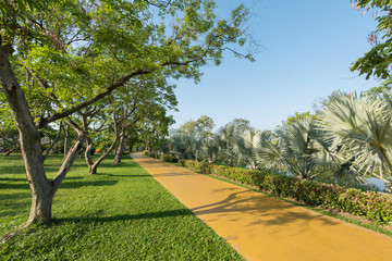 Jogging track and green park landscape