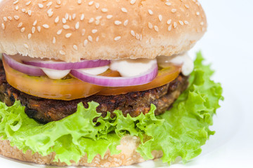Lentil Burger Preparation :  Lentils burger on white background