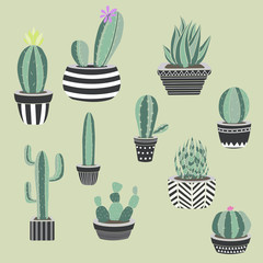 Vector collection of cactus. Hand drawn cartoon Illustration