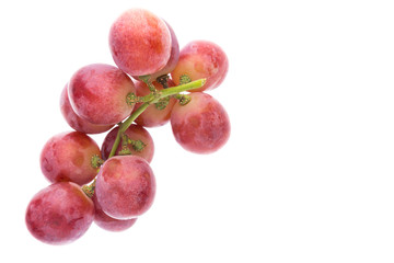 red grape isolated