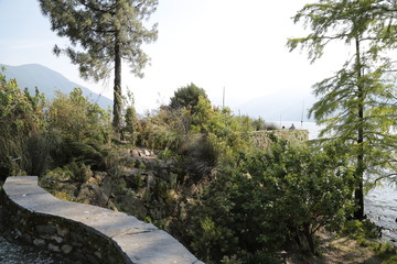 Isole di Brissago