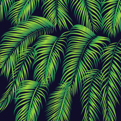 summer_palm_leafs_background_texture