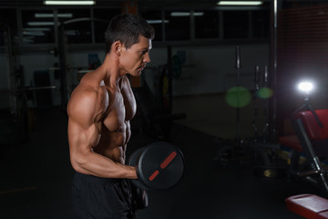 Fototapeta na wymiar Muscular athlete workout with heavy dumbbells