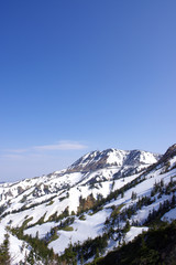 Fototapeta premium 残雪の横手山