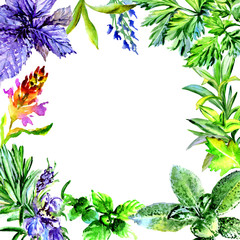 Fototapeta premium Tropical Hawaii leaves palm tree frame in a watercolor style isolated.