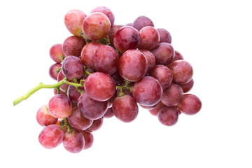red grape isolated