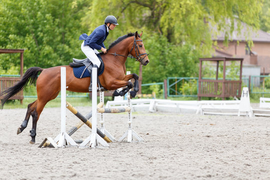 Young rider performing jump on bay horse over a hurdle on show jumping. Equestrian sport background with copy space