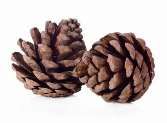 brown pine cone isolated on white background