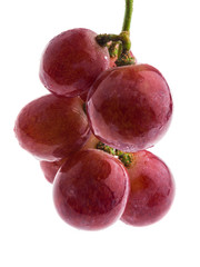 red grape isolated on white