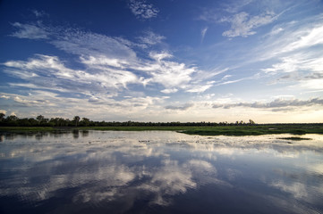 Obraz premium Muddy Swamp with at the twilight in Northern Territory – Australia
