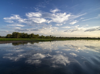 Muddy Swamp with at the twilight in Northern Territory – Australia