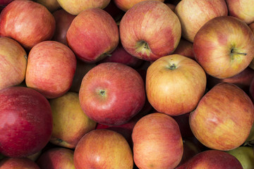 Light red apples background. Group of red apples piled up. Fruty bacground.