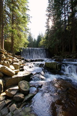 Obraz premium Wodospad na górskim, leśnym potoku