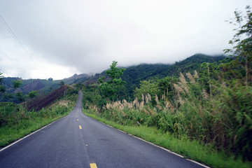 Country Road on the Mountain of Doi Phuka National Reserved Park, Nan Province, Thailand
