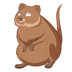 Cartoon happy Quokka