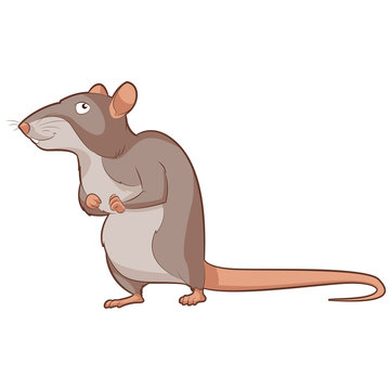 Cartoon smiling Rat
