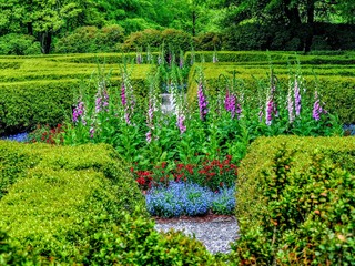 Boxed hedges and flower garden