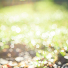 Obraz premium abstract nature background with blurry bokeh defocused lights