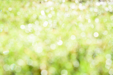 Obraz premium abstract nature background with blurry bokeh defocused lights