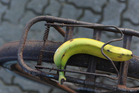 banane auf einem rostigen fahrradgep&auml;cktr&auml;ger