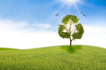 Concept recycle of life. Big alone tree in the field.