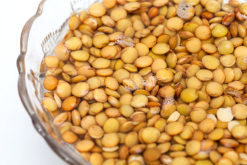 Lentil Burger Preparation : Overnight Soaked lentils on white background