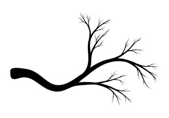  branch silhouette vector symbol icon design