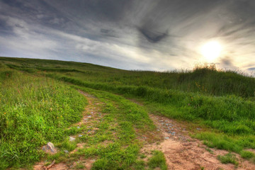 grassy path up hill 