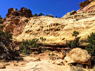The trail to Hickman Bridge is Capitol Reef National Parks most popular hike and features fantastic views of the Waterpocket Fold