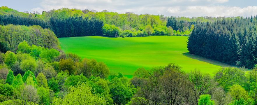 Saarland idyllische Landschaft aus Mischwald und Feldern mit Hochsitz im Frühling bei Marpingen 