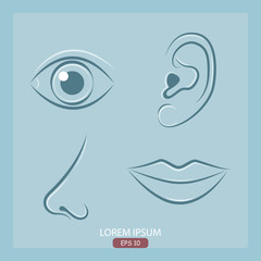 A set of parts of the body. Collection of body parts - nose; eye; lips; ear - vector icon. Vector illustration.