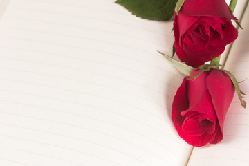 Red rose on notebook background