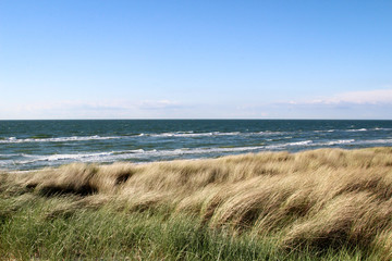 Urlaub am Meer, Dünen, Gras, Küste, Natur