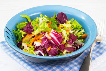 Mix of fresh salad leaves of different varieties