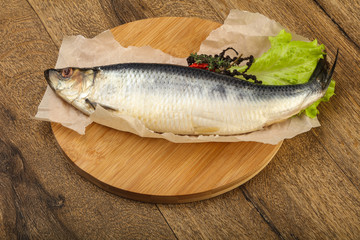Herring fish