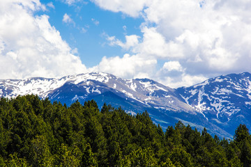 Forest and French pyrenees mountains