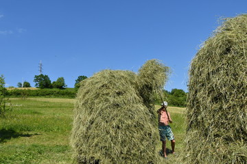 Naklejka na ściany i meble traditional way of hay stocked in the village