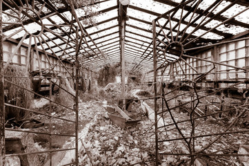 Old greenhouse building in Chernobyl Exclusion Zone, Pripyat, Ukraine. Vintage filter