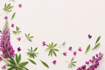 Obraz na płótnie Canvas lupine flowers on white background
