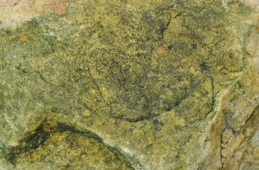 close up of rock texture and background
