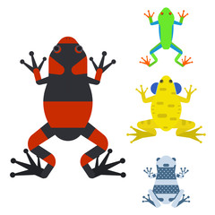 Frog cartoon tropical animal cartoon amphibian mascot character wild vector illustration.