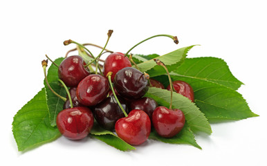 Süßkirschen, Kirschen, Prunus avium, Cherries